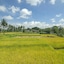 Danakha Villa Ubud
