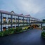 Mayfair Tea Resort