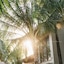 M Resort Phu Quoc