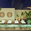 Eurostars Casa Anfa