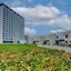 Royal M Resort Al Aqah Beach Resort
