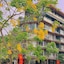 22Land Moon West Lake