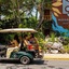 Mayan Monkey Isla Mujeres | Social Hotel