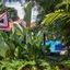 Carpe Diem Villas & Resort