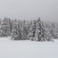 Folgaria Trentino