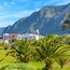 Buenavista del Norte