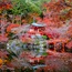 Kyoto