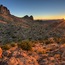 Mojave