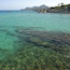 Praia da Son Moll