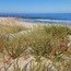 Praia Arda