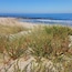 Praia Arda