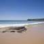 Praia da Mareta