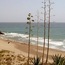 Praia Casa Fuerte