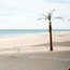 Praia Centro