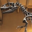 Museu de Historia Natural