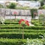 Rosengarten
