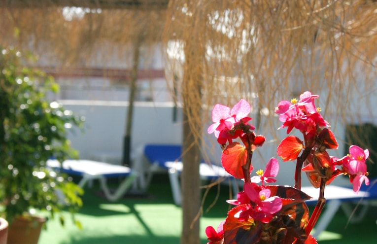 piscinas  - 3