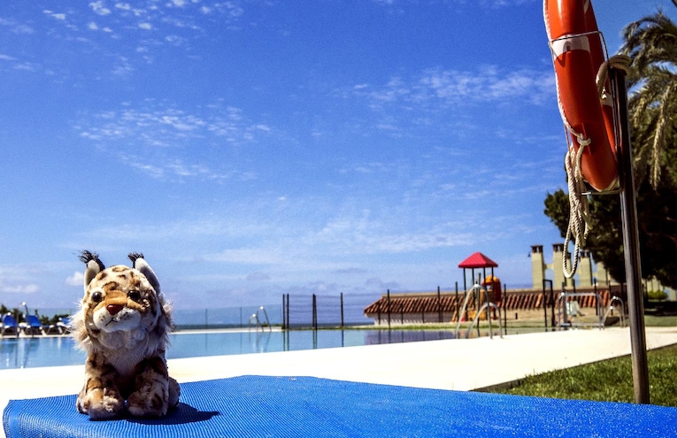 piscinas  - 1