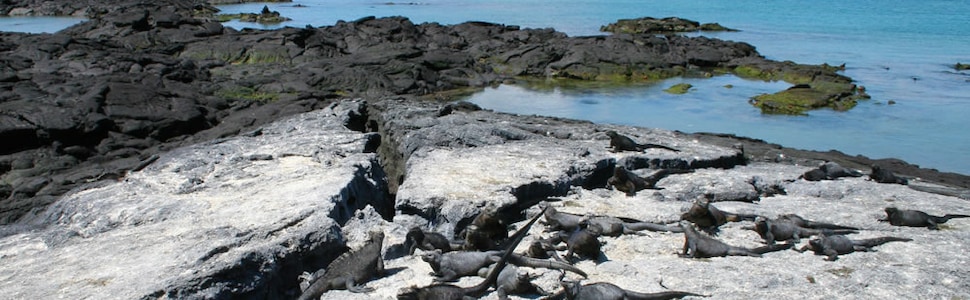 Itinerário do Cruzeiro Ilhas Galápagos - Silversea