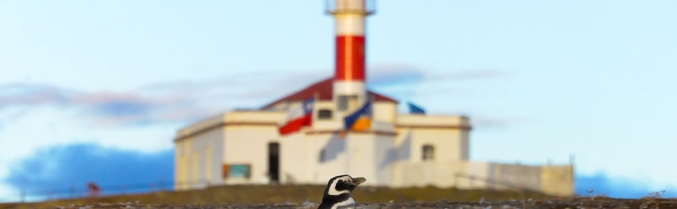 Itinerário do Cruzeiro La Ruta de Darwin desde Punta Arenas (8N) - Australis
