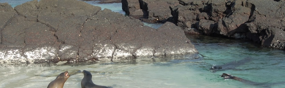Itinerário do Cruzeiro Ilhas Galápagos - Silversea