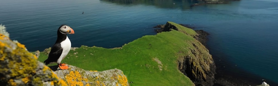 Itinerário do Cruzeiro De Dublin a Edimburgo, Escócia - Silversea