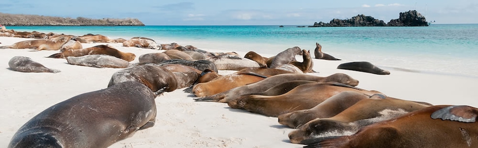 Itinerário do Cruzeiro Ilhas Galápagos - Silversea